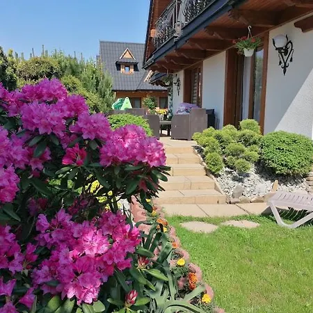 & Adrian Delux Homestay Zakopane
